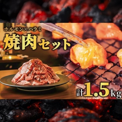 たれ漬け牛ハラミ1.2kg+ホルモンMIX300g 焼肉用 BBQ 奈良県 奈良市 13-031