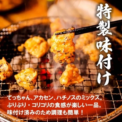 たれ漬け牛ハラミ1.2kg+ホルモンMIX300g 焼肉用 BBQ 奈良県 奈良市 13-031