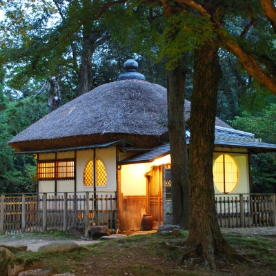 奈良公園　江戸三　ペアご宿泊券(1泊2食付) ご夕食は会席料理