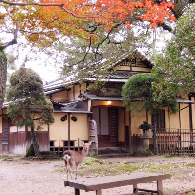 奈良公園　江戸三　ペアご宿泊券(1泊2食付) ご夕食は「特選料理」