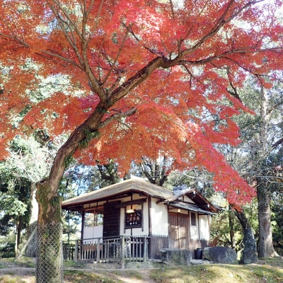 奈良公園 江戸三　若草鍋　ペアお食事券(ランチ・ディナー)10月～3月限定