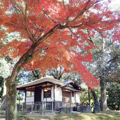 奈良公園 江戸三　特選料理　ペアお食事券(ランチ・ディナー)