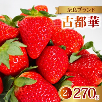 【2026年1月より順次発送】古都華 家庭用 270g×2パック 萩原いちご農園 hgi03