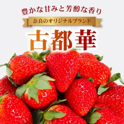【2026年1月より順次発送】古都華 家庭用 270g×2パック 萩原いちご農園 hgi03