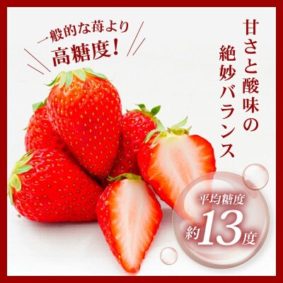 【2026年1月より順次発送】古都華 家庭用 270g×2パック 萩原いちご農園 hgi03