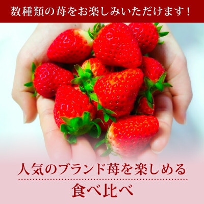 【2026年1月より順次発送】ならあかり・古都華 270g×2パック 萩原いちご農園 hgi05