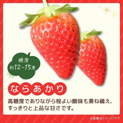 【2027年1月より順次発送】奈乃華・ならあかり 食べ比べセット 萩原いちご農園 hgi01