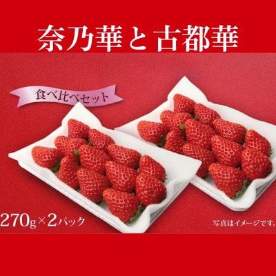 【2027年1月より順次発送】奈乃華・古都華 食べ比べセット 萩原いちご農園 hgi02
