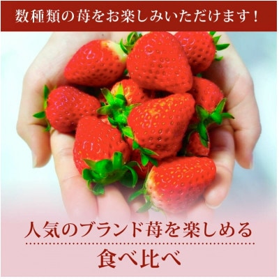 【2027年1月より順次発送】奈乃華・古都華 食べ比べセット 萩原いちご農園 hgi02
