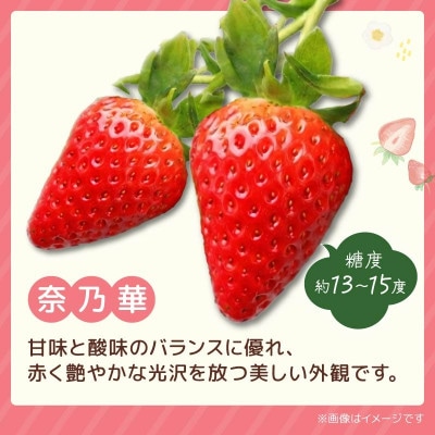 【2027年1月より順次発送】奈乃華・古都華 食べ比べセット 萩原いちご農園 hgi02