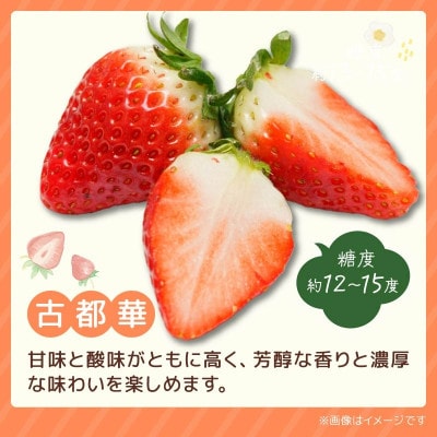 【2027年1月より順次発送】奈乃華・古都華 食べ比べセット 萩原いちご農園 hgi02