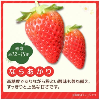 【2027年1月より順次発送】ならあかり・古都華 食べ比べセット 萩原いちご農園 hgi05
