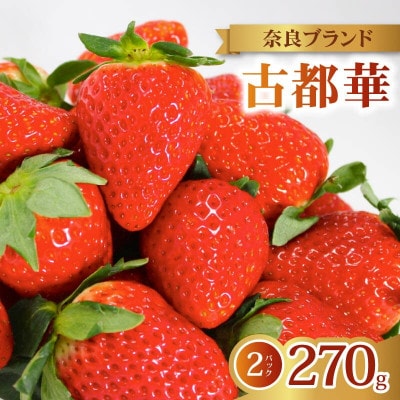 【2027年1月より順次発送】古都華 家庭用 270g×2パック 萩原いちご農園 hgi03