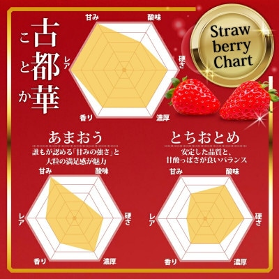 【2027年1月より順次発送】古都華 家庭用 270g×2パック 萩原いちご農園 hgi03