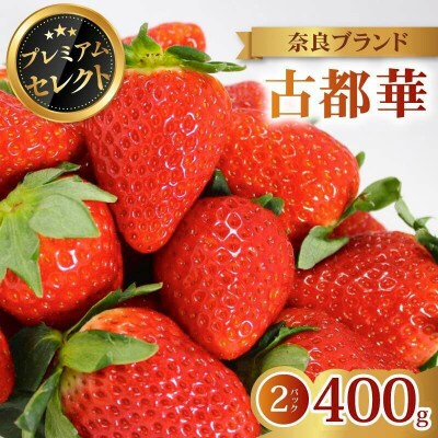 【2027年1月より順次発送】プレミアムセレクト 古都華 400g×2 萩原いちご農園 hgi04