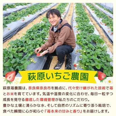 【2027年1月より順次発送】プレミアムセレクト 古都華 400g×2 萩原いちご農園 hgi04