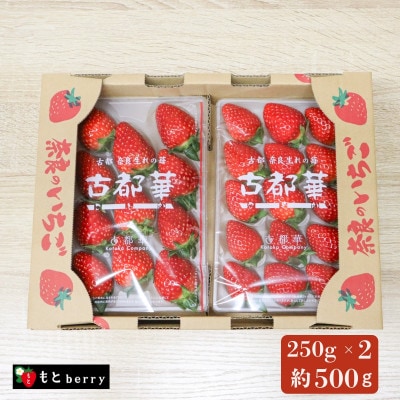 奈良ブランドいちご「古都華」専門農家もとberryの古都華いちご mbr02