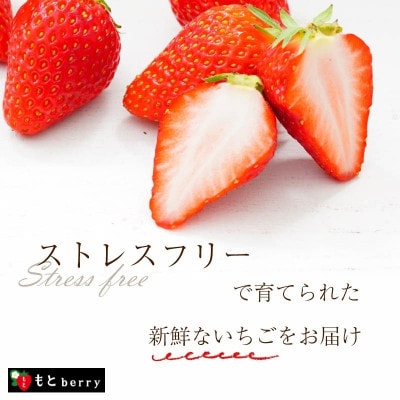 奈良ブランドいちご「古都華」専門農家もとberryの古都華いちご mbr02