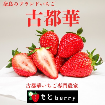 奈良のブランドいちご 古都華 (約250g×4パック) 【2027年1月～順次発送】 mbr01