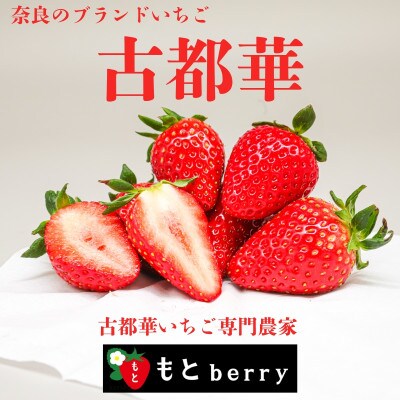 奈良のブランドいちご 古都華 (約250g×2パック) 【2027年1月～順次発送】 mbr02