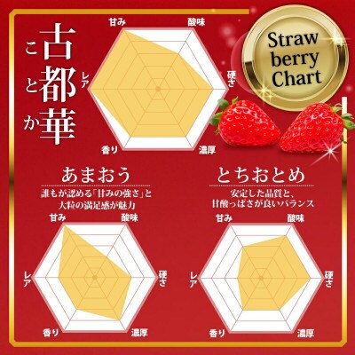 奈良のブランドいちご 古都華 (約250g×2パック) 【2027年1月～順次発送】 mbr02