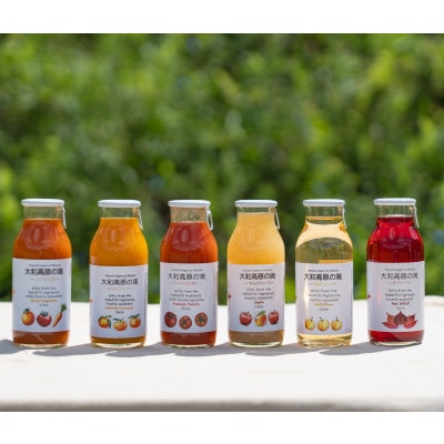 ほせき本舗　大和高原の滴おまかせジュースセット計170ml×5本