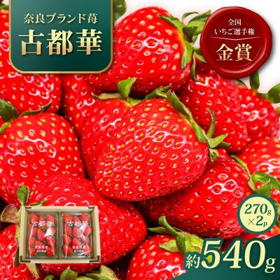 奈良ブランド「古都華」 いちご (270g×2P) 2027年1月～順次発送 岩井農園 10-268