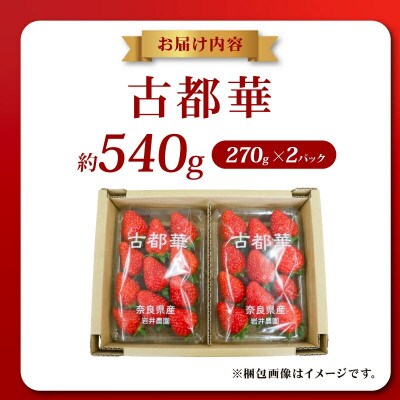 奈良ブランド「古都華」 いちご (270g×2P) 2027年1月～順次発送 岩井農園 10-268