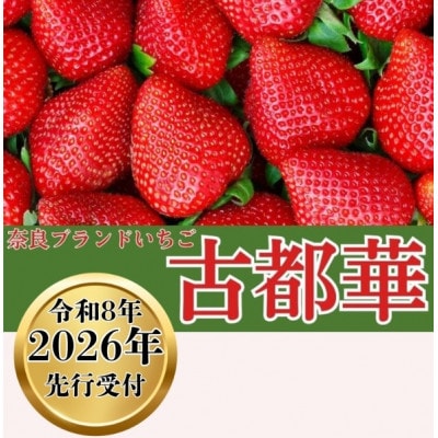 【2026年1月～順次発送】奈良ブランドいちご【古都華】藤井農園 270g×2パック 12-124