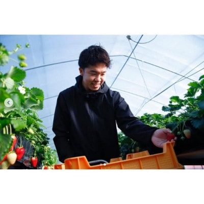 【2026年1月～順次発送】奈良ブランドいちご【古都華】藤井農園 270g×2パック 12-124