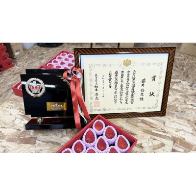 古都華 2パック 計500g fuj01