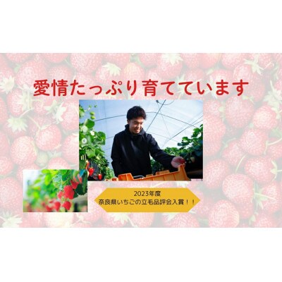 奈良のブランドいちご 古都華 L~2L 大粒 約500g 藤井農園 fuj01