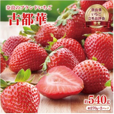 奈良のブランドいちご 古都華 L～2L 大粒 約540g 約270g×2パック 藤井農園 fuj02