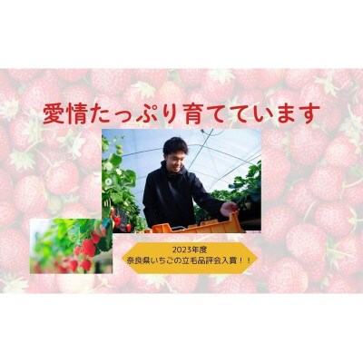 奈良のブランドいちご 古都華 L～2L 大粒 約540g 約270g×2パック 藤井農園 fuj02