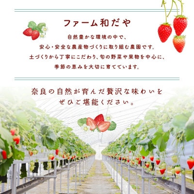 【先行受付】奈良のブランドいちご 古都華 約520g(260g×2) fwd004_R9