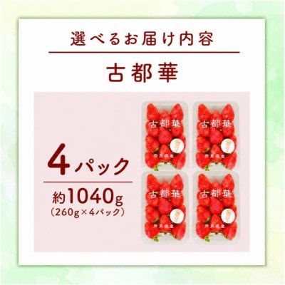 【先行予約】奈良のブランドいちご 古都華 約1040g(260g×4) fwd005_R9