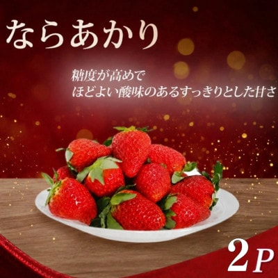 【先行受付】いちご ならあかり　約520g(260g×2)fwd006_R9
