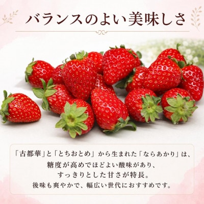 【先行受付】いちご ならあかり　約520g(260g×2)fwd006_R9