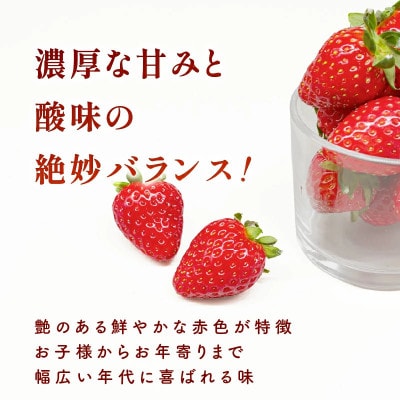 【2027年順次発送】奈良のブランドいちご 古都華 約600g×1 大粒サイズ fwd008_R9