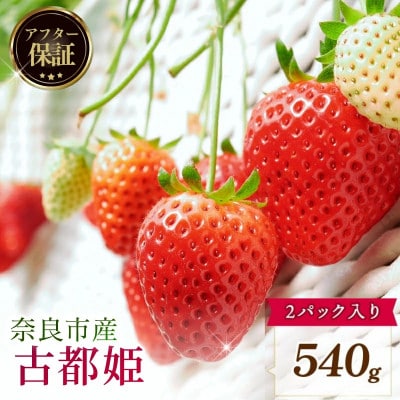 【数量限定】2027年 1～2月発送 いちご 古都姫  2パック 約540g 中村農園 inn01