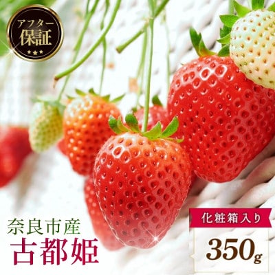 【数量限定】2027年 1～2月発送 いちご 古都姫  約350g 化粧箱 中村農園 inn02