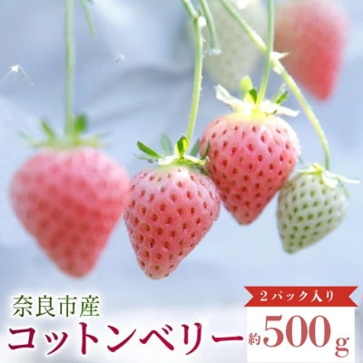 【数量限定】2027年 1～2月発送 いちご コットンベリー 約250g×2 中村農園 inn03
