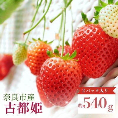 【数量限定】 2027年 3~4月発送 いちご 古都姫 約270g×2 中村農園 inn11