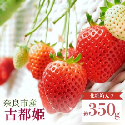 【数量限定】2027年 3~4月発送 いちご 古都姫 約350g 化粧箱 中村農園 inn12