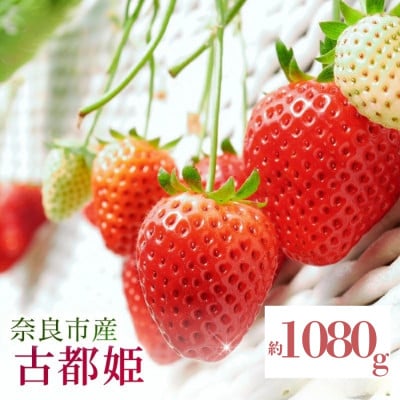 【数量限定】2027年 3~4月発送 奈良のいちご 古都姫 約1080g  中村農園 inn15