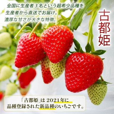 【数量限定】2027年 3~4月発送 奈良のいちご 古都姫 約1080g  中村農園 inn15
