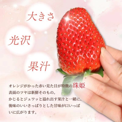 【2027年1月より順次発送】いちご 珠姫 希少品種 2パック mtn004_R9