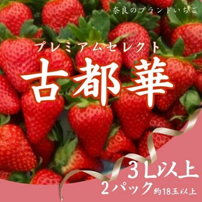 【2027年1月より順次発送】プレミアムセレクト古都華 いちご 2パック mtn003_R9