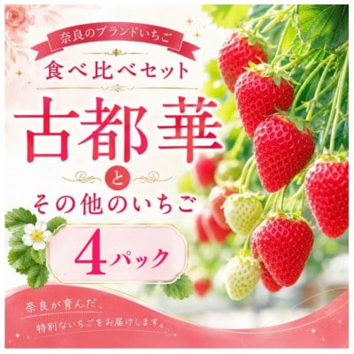 【2027年1月より順次発送】いちご 古都華 食べ比べ 2種 計4パック 苺 mtn002_R9