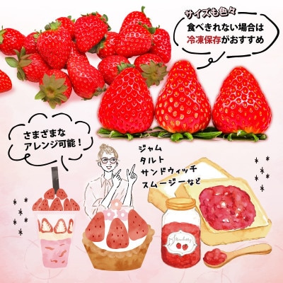 【2027年1月より順次発送】いちご 古都華 食べ比べ 2種 計2パック 苺 mtn001_R9